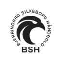 Bjerringbro-Silkeborg