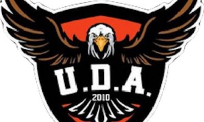 UDA-AL