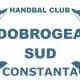 Dobrogea Sud handebol