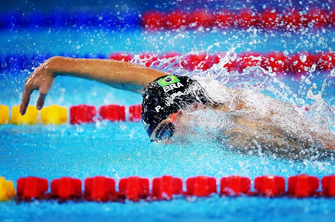 Pedro Spajari / Mundial de Piscina curta natação