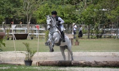 Marcio Appel cce concurso completo de equitação