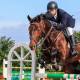 Pedro de Matos em ação no hipismo saltos (Foto: Heleno Clemente)