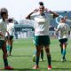 Palmeiras, Brasileirão Feminino, cruzeiro, ferroviária, internacional