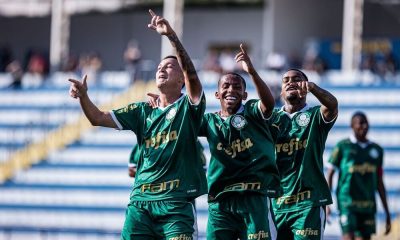 palmeiras, brasileirão sub-20, flamengo, santos