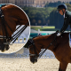 Rodolpho Riskalla com seu cavalo, que foi atrapalhado por abelha durante apresentação nos Jogos Paralímpicos de Paris-2024