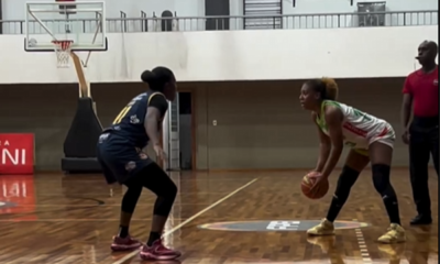 Campinas são josé basquete paulista feminino