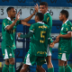 Palmeiras, o primeiro finalista do Brasileiro Sub-20 (Foto: Fabio Menotti/Palmeiras)