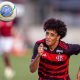 Flamengo no Brasileiro sub-17 de futebol masculino