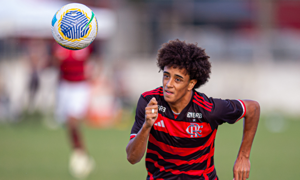 Flamengo no Brasileiro sub-17 de futebol masculino