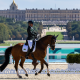 Rodolpho Riskalla com seu cavalo Denzel, classificados para o freestyle no hipismo paradestramento das Paralimpídas de Paris-2024