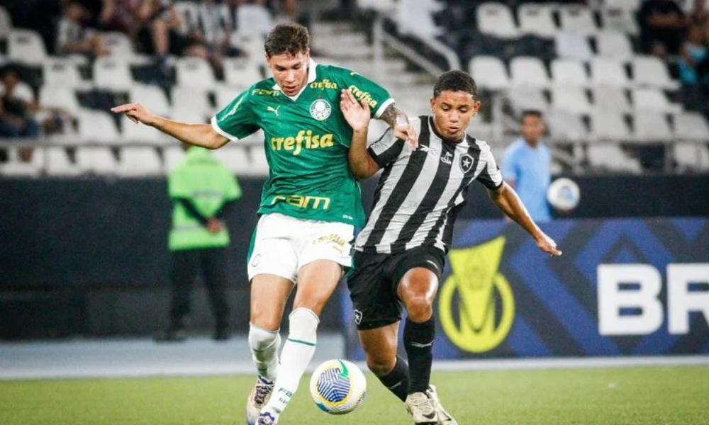 Botafogo e Palmeiras pelo Brasileirão sub-17