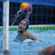 Brasil em ação na disputa do polo aquático no Sul-Americano de esportes aquáticos (Divulgação/CBDA)