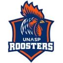 Unasp Roosters flag football