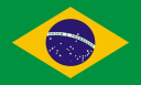 bandeira do brasil. logo da bandeira do brasil BRA FLAG