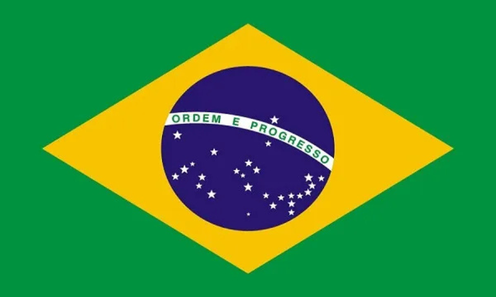 bandeira do brasil. logo da bandeira do brasil BRA FLAG