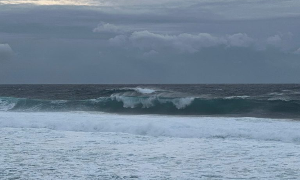 Havaí, Pipe Pro, WSL